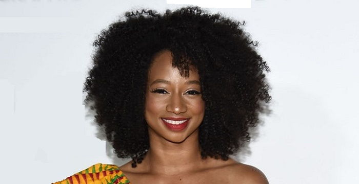 Monique Coleman Bio, Early Life, Career, Net Worth and Salary